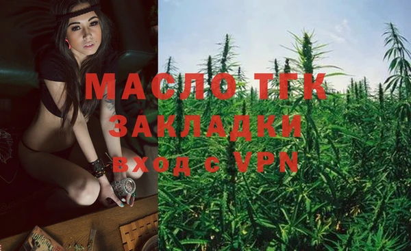 шишки Белоозёрский