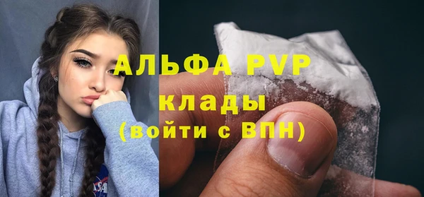 шишки Белоозёрский