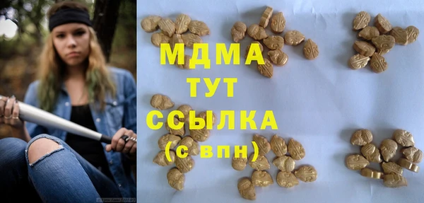 шишки Белоозёрский