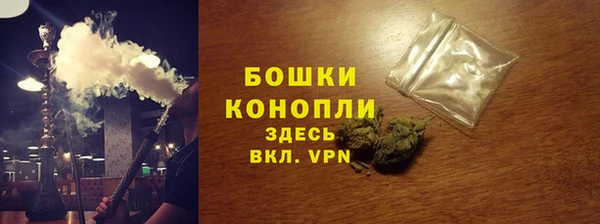 шишки Белоозёрский