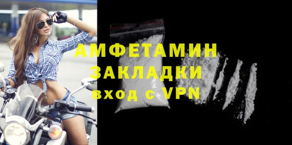 шишки Белоозёрский