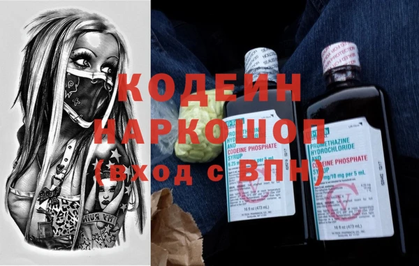 шишки Белоозёрский