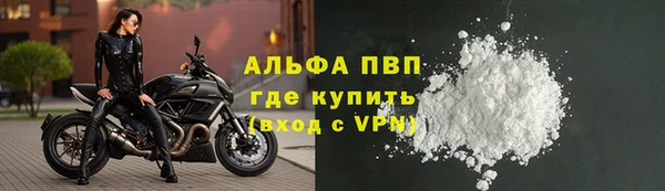 ешки Белокуриха