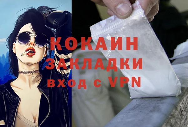 шишки Белоозёрский
