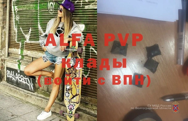 ешки Белокуриха