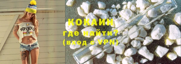 шишки Белоозёрский