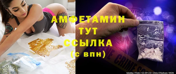 шишки Белоозёрский