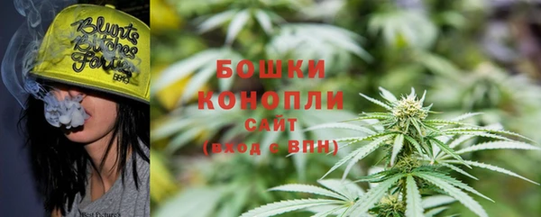 шишки Белоозёрский