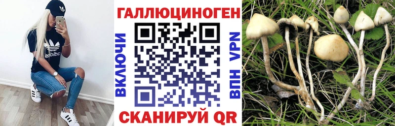 Галлюциногенные грибы мухоморы Миньяр